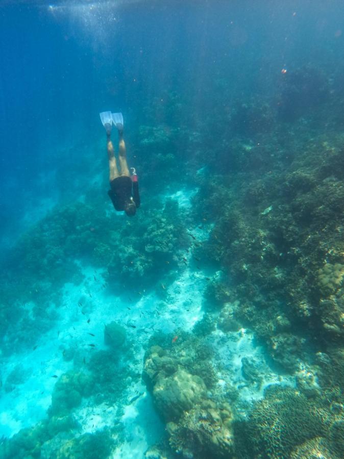 Paguro Seaview Hotel Bodufolhudhoo Eksteriør billede